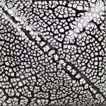 Mayco Specialty Glaze - SG-202 - White Cobblestone -  4 fluid oz.